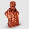 Rosa3D PLA Silk