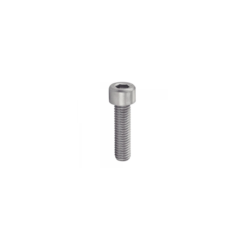 Tornilllos M6x25 Allen  Inoxidable